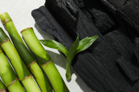 Concept of face and skin care - bamboo and charcoalの写真素材