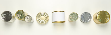 Canned food in blank metal jars, concept of canned foodの写真素材