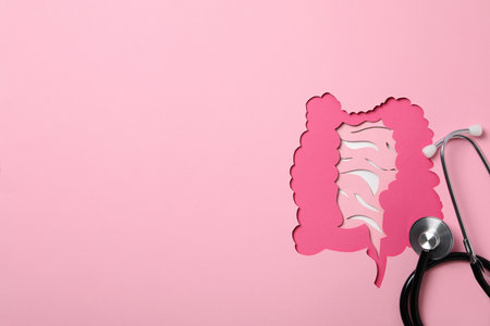Concept of health care and internal organs - intestinesの写真素材