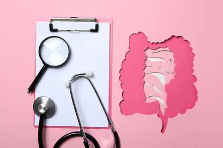 Concept of health care and internal organs - intestinesの写真素材