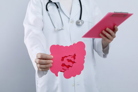 Concept of health care and internal organs - intestinesの写真素材