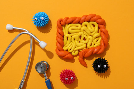 Concept of health care and internal organs - intestines