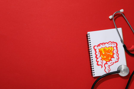 Concept of health care, stomach and intestinal problemsの写真素材