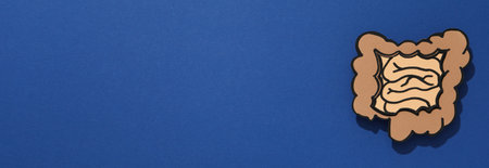 Concept of health care, stomach and intestinal problemsの写真素材