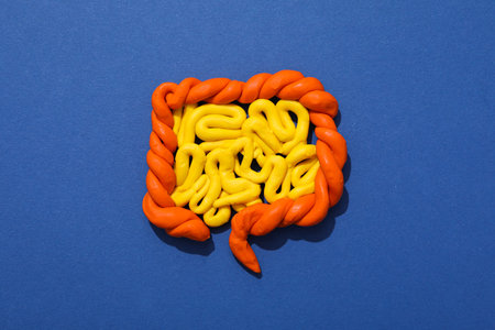 Concept of health care, stomach and intestinal problemsの写真素材