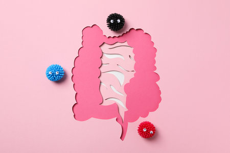 Concept of health care, stomach and intestinal problemsの写真素材