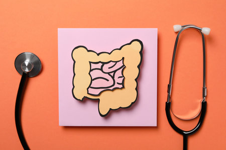 Concept of health care and internal organs - intestinesの写真素材