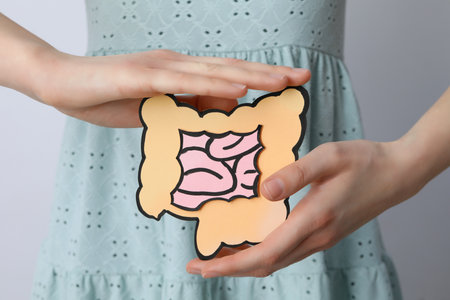 Concept of health care and internal organs - intestines