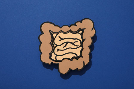 Concept of health care, stomach and intestinal problemsの写真素材