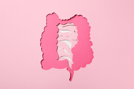 Concept of health care, stomach and intestinal problems