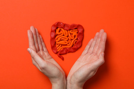 Concept of health care, stomach and intestinal problemsの写真素材