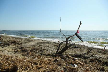 Pollution of the water body with plastic waste and garbage