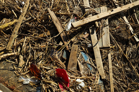 Pollution of the water body with plastic waste and garbageの写真素材