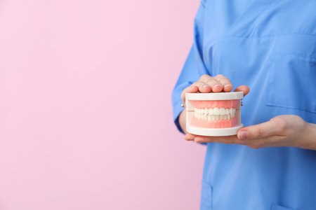 Artificial jaw in the hands of a doctor, place for text