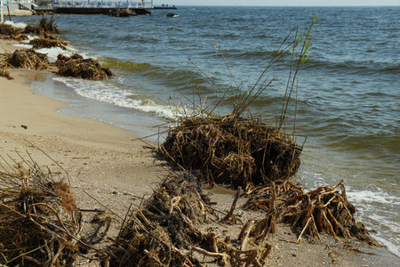 Pollution of the reservoir with plastic waste and garbageの写真素材