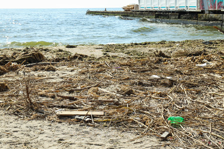 Pollution of the reservoir with plastic waste