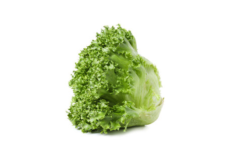 PNG, fresh summer food - lettuce isolated on white backgroundの写真素材