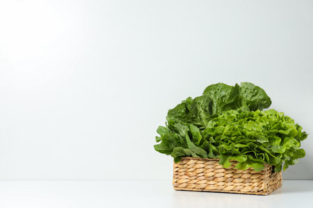 Concept of fresh and green food - lettuceの写真素材
