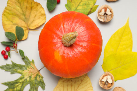 Concept of Autumn vibe food, Pumpkin, Pumpkin seedsの写真素材