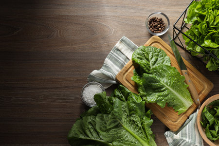Concept of fresh and green food - lettuce
