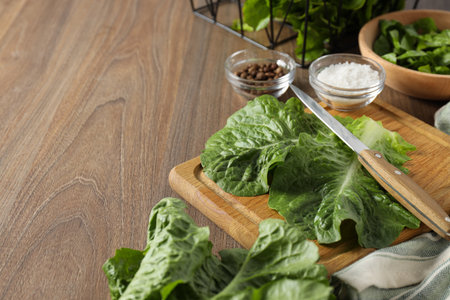 Concept of fresh and green food - lettuceの写真素材