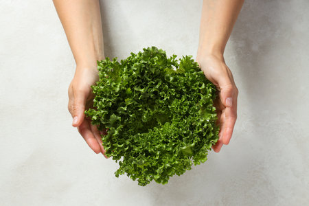 Concept of fresh and green food - lettuce