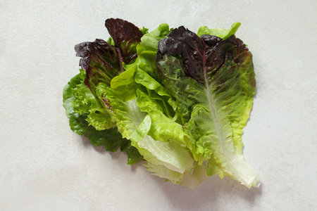 Concept of fresh and green food - lettuce