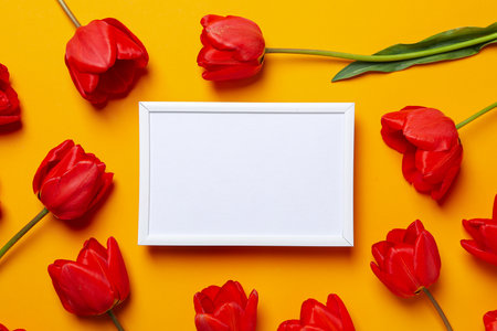 Frame with tulips, with empty space, flat layの写真素材