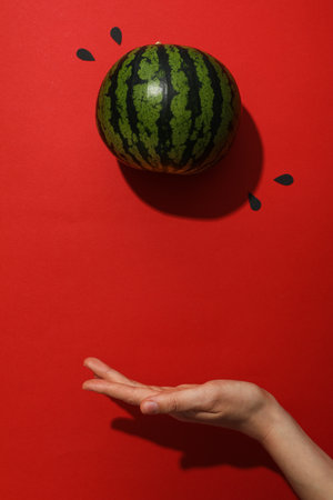 Concept of summer time with fresh watermelonの写真素材