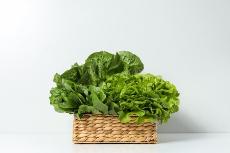 Concept of fresh and green food - lettuce