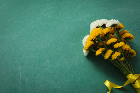 Flowers on a green school blackboard with chalkの写真素材