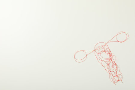 Silhouette of female internal genitals on a white background