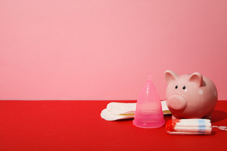 Means for intimate feminine hygiene with a piggy bankの写真素材