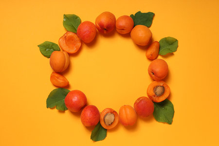 Composition with apricot, concept of tasty and fresh fruitの写真素材