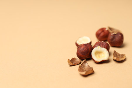 Healthy food and healthy nutrition concept, nuts - hazelnutの写真素材