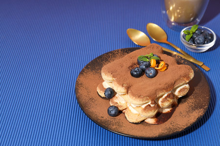 Concept of sweet food, Tiramisu cake, space for textの写真素材