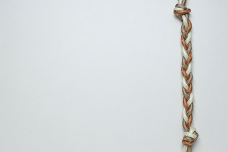 Braided multicolored ropes on a white background. concept of unity. Place for text