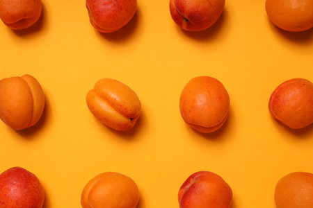 Composition with apricot, concept of tasty and fresh fruitの写真素材