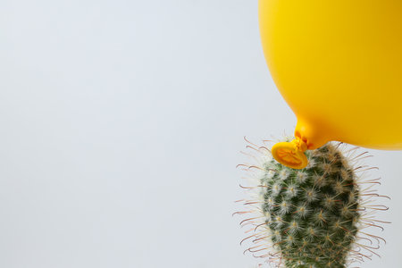Yellow balloon and cactus on white background, space for textの写真素材