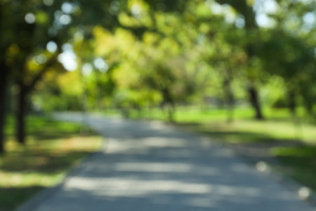 Blurred image of summer local park, pathの写真素材