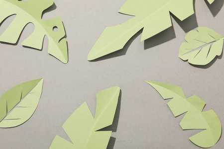 Paper green tropical leaves on a gray background.