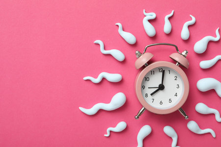 Concept of fertilization, period of ovulation, ovum.の写真素材