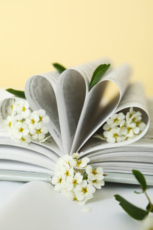 Open book and flowers on yellow backgroundの写真素材