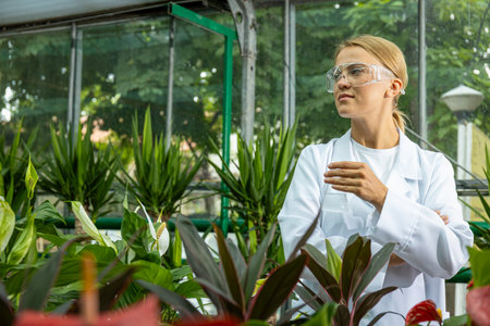 Laboratory studies by an expert biologist in a greenhouse.の写真素材