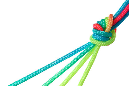 PNG,multi-colored braided cords diverge to the sides from a large knot in the center. The concept of...