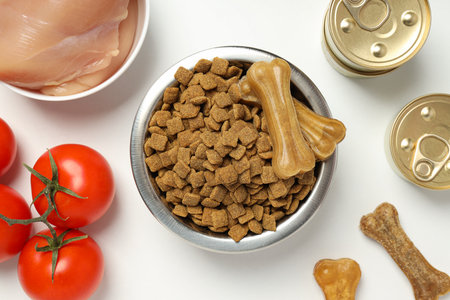 Tasty and delicious food for pet, pet accessoriesの写真素材