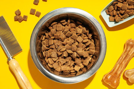 Tasty and delicious food for pet, pet accessories