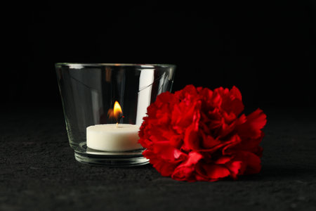 Candle in glass and flower on black backgroundの写真素材