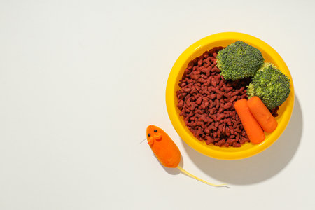 Tasty and delicious food for pet, pet accessoriesの写真素材