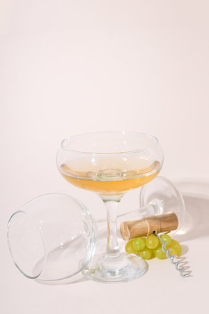 Gourmet drink concept, delicious alcohol drink - wineの写真素材